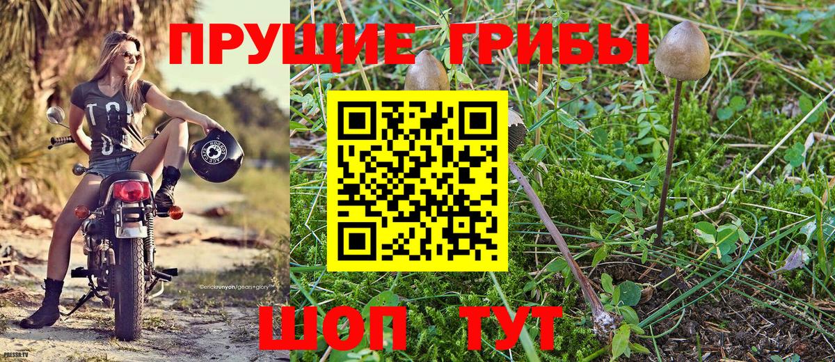 Галлюциногенные грибы ЛСД  Вход с VPN  Псилоцибиновые грибы MAGIC MUSHROOMS  Волоколамск 